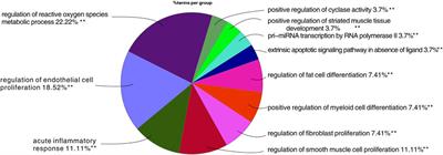 Study of the Active Components and Molecular Mechanism of Tripterygium wilfordii in the Treatment of Diabetic Nephropathy